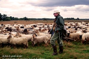 Joh 1011 : Drenthe, Heide, Herder, Schaapskudde